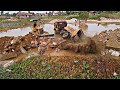 DANGEROUS WORK Bulldozer Dump Truck in Action Monster Machines vs Nature!