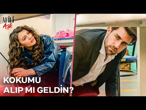 AyKer Hikayenin Başladığı Yerde Yeniden Karşılaştı | İlk Bakıştan Son Ana - Afili Aşk