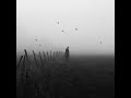 Max Richter The Quality Of Mercy 