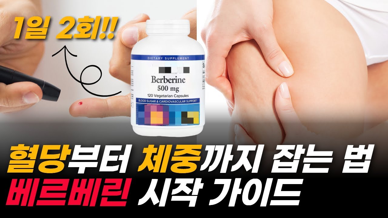 베르베린 어떤 제품이 나에게 맞고 식전 vs 식후 복용, 언제가 더 효과 있을까?