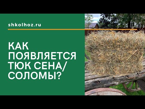 Как появляется тюк сена/соломы? | SHKOLHOZ.RU