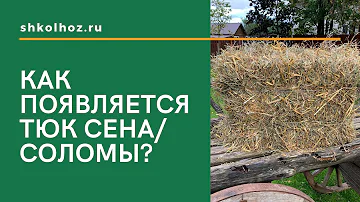 Как появляется тюк сена/соломы? | SHKOLHOZ.RU