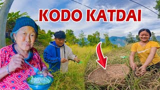 Picking millet with vanji||mom favourite breakfast thukpa//nepali village daily life mix vlog