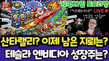 미국주식/산타랠리? 장애물?/테슬라 엔비디아 구글 애플 아마존 메타 마이크로소프트 팔란티어 아이온큐 리게티 QBTS 삼성전자 MU 브로드컴 오라클 델 코어위브 DXYZ SOX