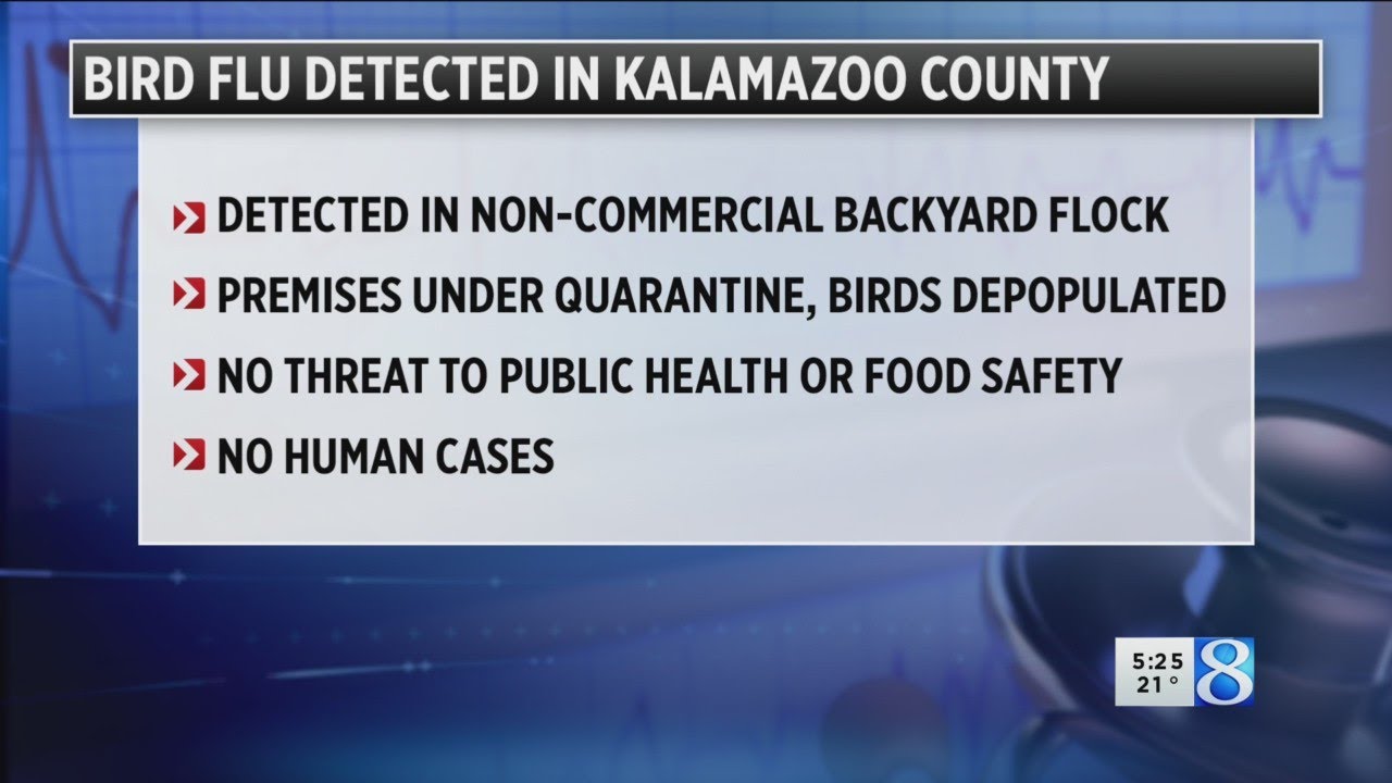 State: Avian flu detected in Kalamazoo County flock