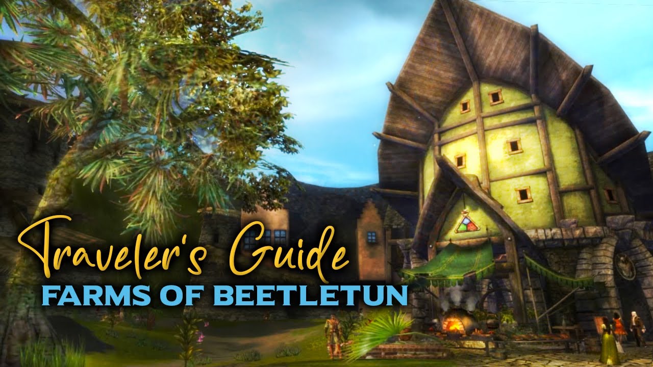 Guild Wars Lore: Beetletun - Drama and Vengeance | Queensdale 7 - YouTube