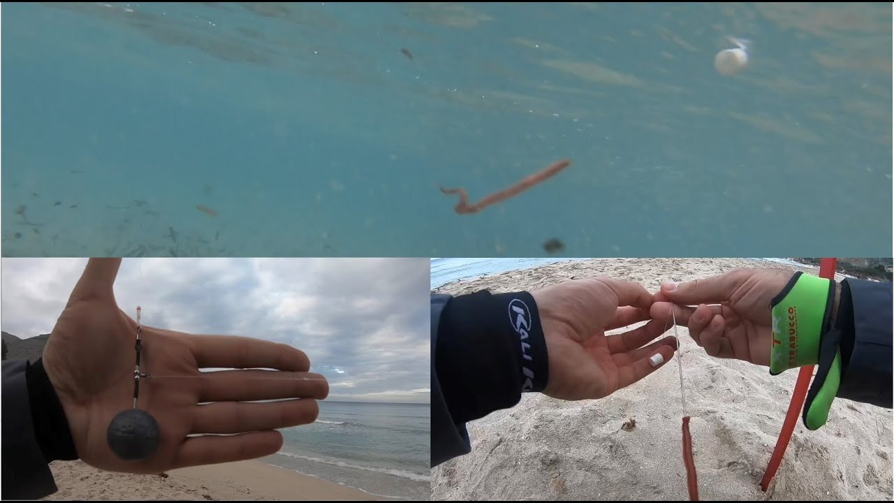 Surfcasting :Come si comporta il POP-UP sotto l'acqua,un modo facile per  catturare i pesci di galla. - YouTube