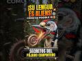 ¿Picos de ACERO y Lenguas que envuelven su CEREBRO?🧠Top5 Curiosidades del Pájaro Carpintero #animal