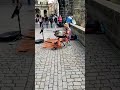 Karlův most #shorts #pouliční umění #super #top #praha