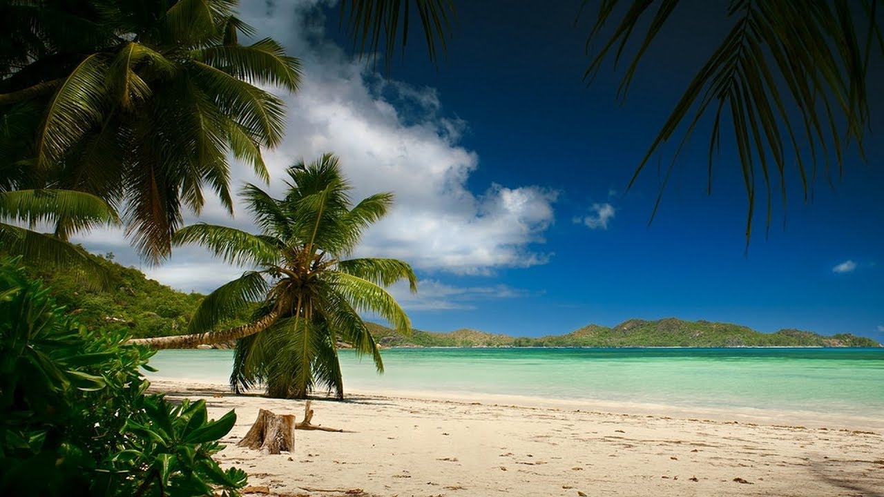 SUMMER MIX 2018 BEST OF POPULAR MUSIC DEEP & TROPICAL HOUSE SONGS