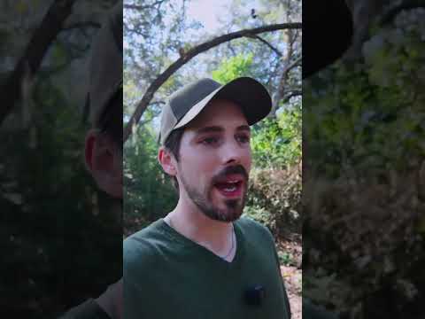 I Wish I D Quit My Job Sooner 