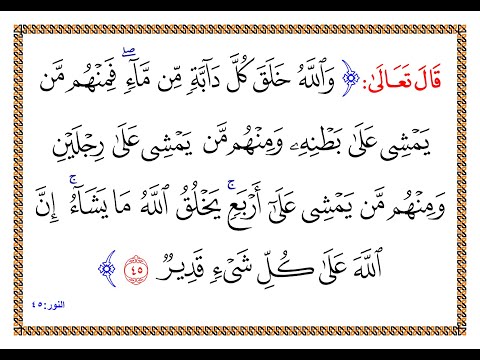تفسير سورة النور الآية 45 تفسير السعدي المقروء والمسموع