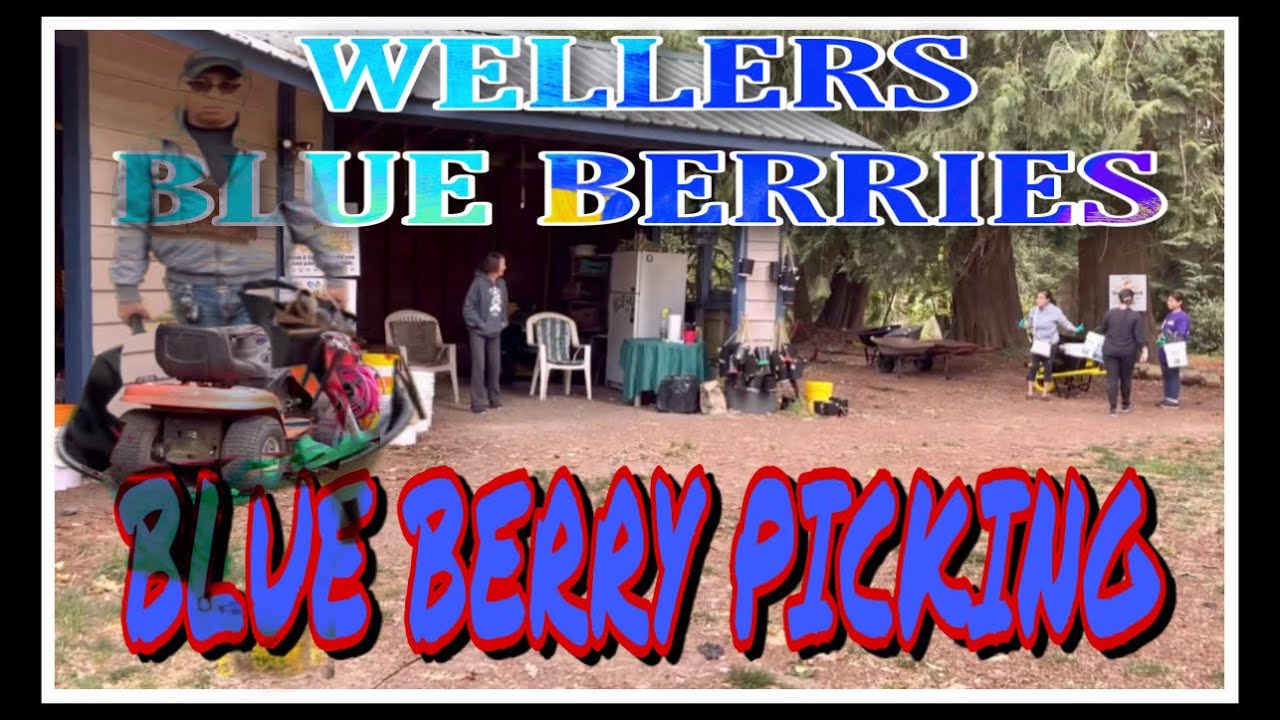 BLUE BERRY Picking @ WELLERS BLUE BERRIES FARM| Langely city, BC 2022