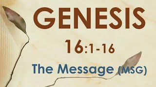 GENESIS 16 the Message (MSG) - Hagar births Ishmael