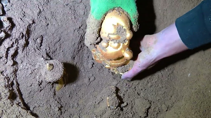 The boy accidentally found a treasure buried for thousands of years in the wasteland
