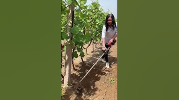 Agricultural Machinery - Soil Loosening and Weeding Equipment