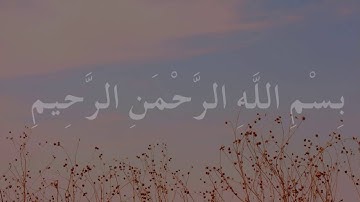 سورة الاخلاص ابو بكر الشاطري