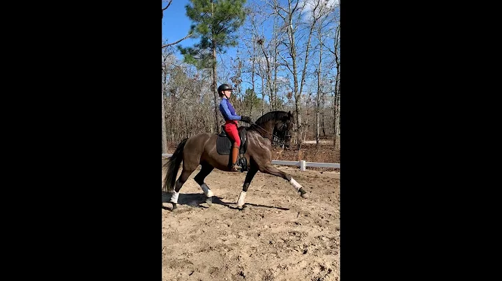 Laura Abner schooling Bellina 12-18-2020