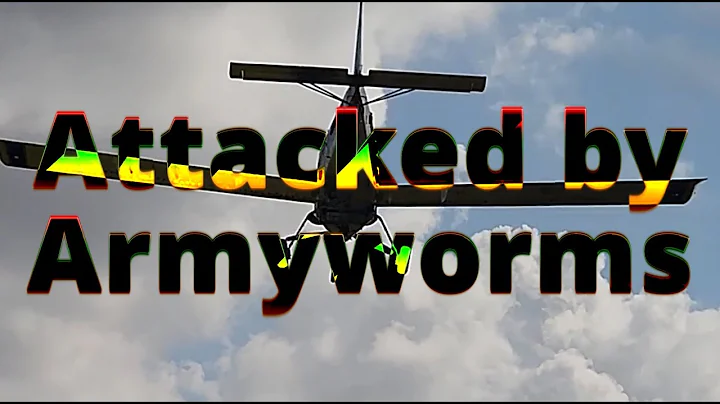 Attacked by Armyworms and Disking a New Property