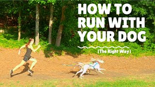 Tips to Run with Your Dog, and Have Fun Doing It.