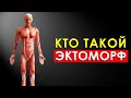 Эктоморф: Как Правильно Питаться и Накачаться Худому?