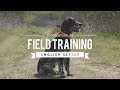 FIELD TRAINING: ENGLISH SETTER の動画、YouTube動画。