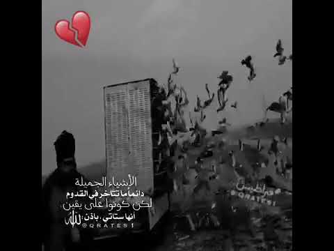 اجمل حالات واتساب معبره عن الحريه 