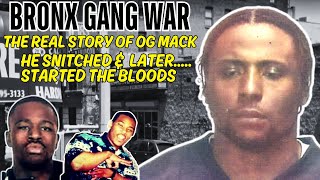 The Real Story Of The 1st NY Blood 