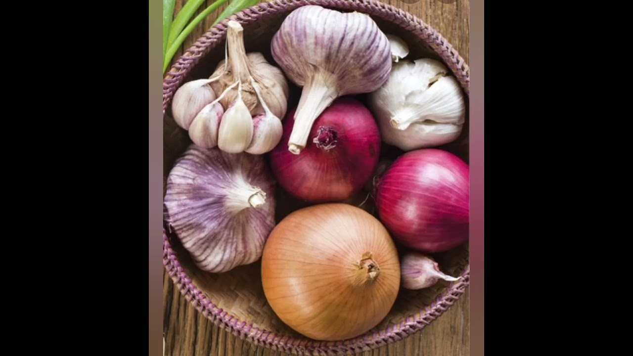 El Mujerologo les presenta a wilmer machado el gabán cafetalero con su canción el hijo de Lara.