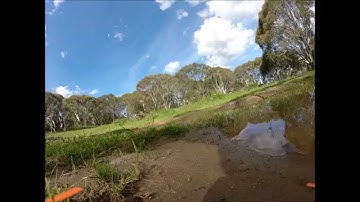 Impulse RC 5"Alien - Crash and near crash , trying hard .