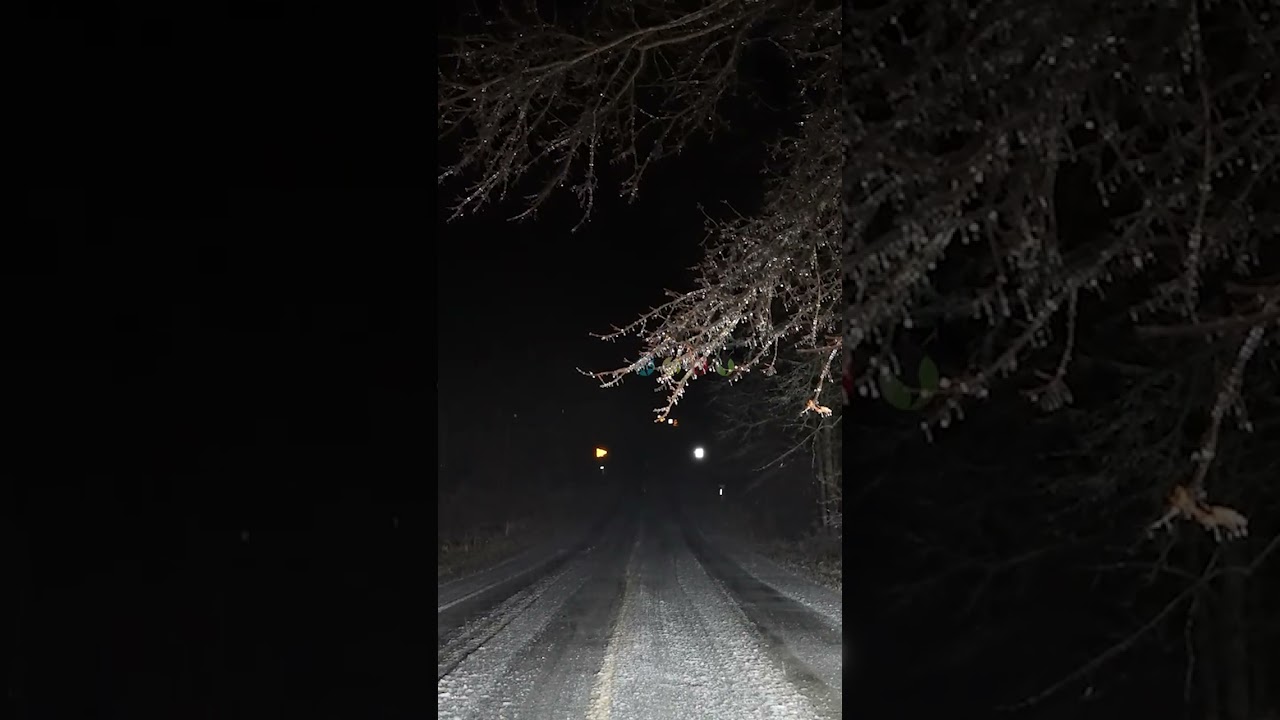 Tree Falls on Truck Destructive Ice Storm in Michigan #shorts