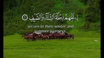 سورة قريش بصوت القارئ الشيخ أحمد العجمي مكتوبة