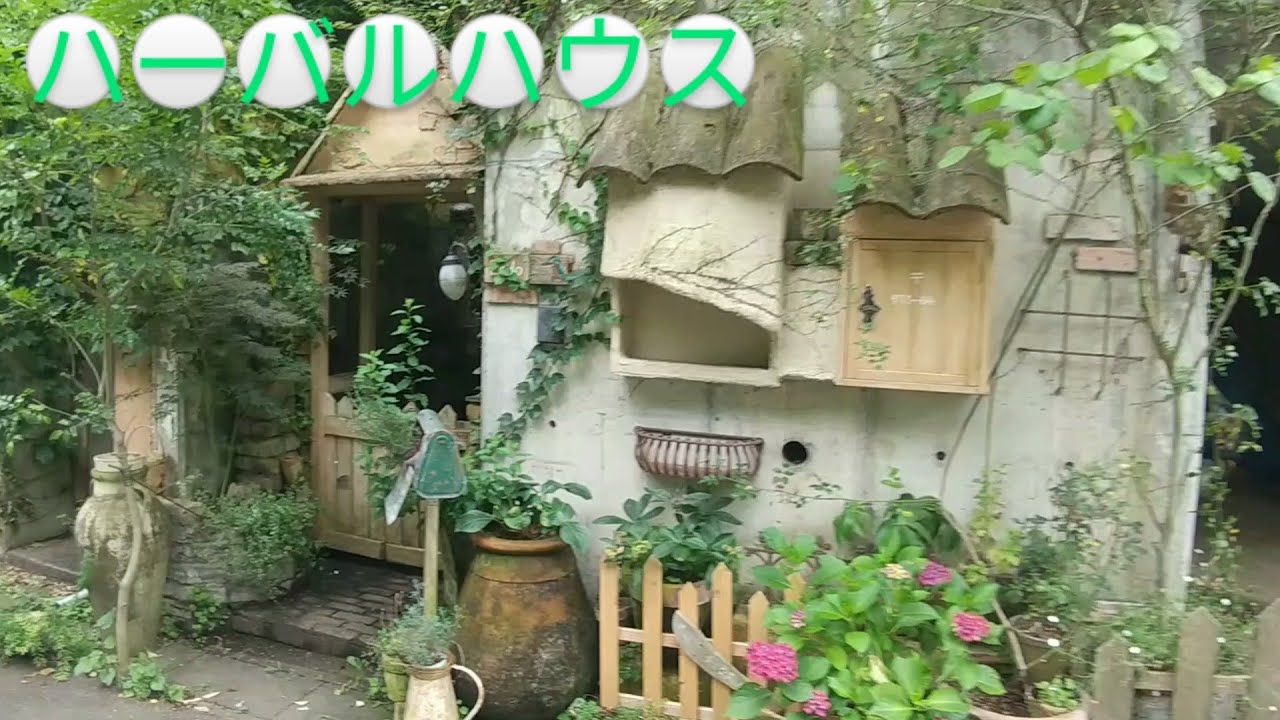 【ハーバルハウス】　比企郡吉見町  2022年6月