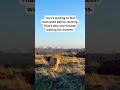 Stop waiting for motivation, do this instead