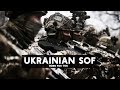 UKRAINIAN SPECIAL FORCES | "Іду на ви!"