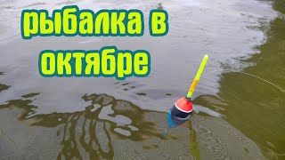 Первая Рыбалка В Октябре 2023 На Поплавок На Речке.