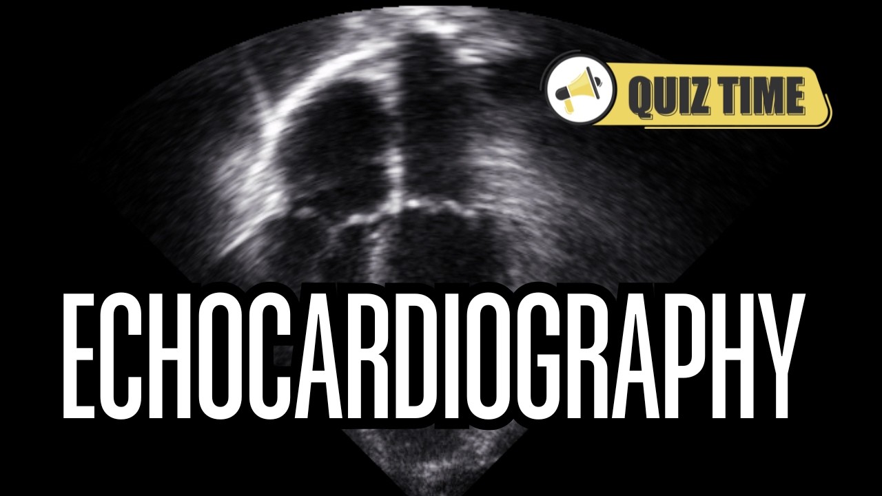 Echocardiography Quiz