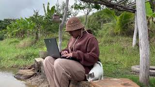 Seuab 🌵 Lofi Nordestino | 1h de Loop 🌞 screenshot 3