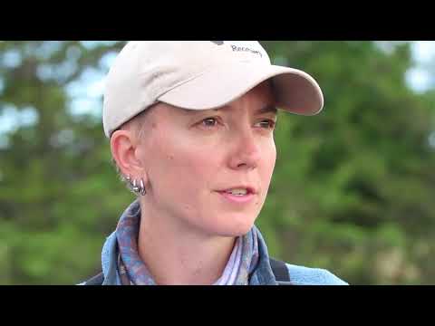 Loggerhead Shrike protection