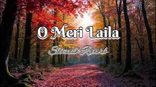 O Meri Laila ( Slowed Reverb ) Laila Majnu || Atif Aslam || Jyotica Tangri || Lofi
