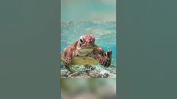 صور نادرة لم تراها من قبل الجزء 61 