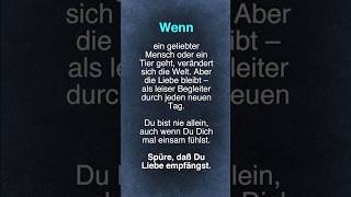Wenn #SHORTS #sprüche #leben #liebe #lebensziel #komfort #glück #loslassen #trauer #verlust