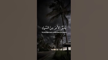 القارئ عبدالرحمن مسعد - من سورة السجدة