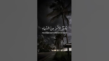 القارئ عبدالرحمن مسعد - من سورة السجدة
