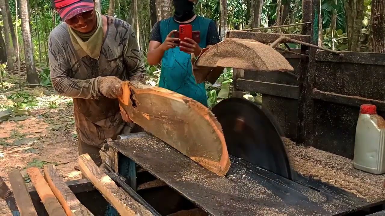 Proses penggergajian kayu jati‼️ gergaji bulat serkel rakitan