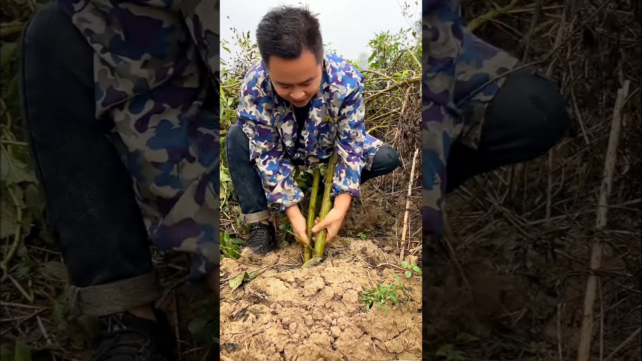 The farmers do not want to do this type of farming.