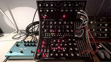 Quiet | Moog Subharmonicon • DFAM • Mother-32 • Strymon Big Sky | Ambient