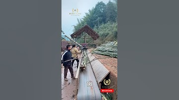 How to Make Charcoal from Bamboo?