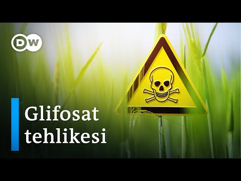 Video: Glifosat Herbisit Kullanma - Olası Glifosat Tehlikeleri Hakkında Bilgi Edinin