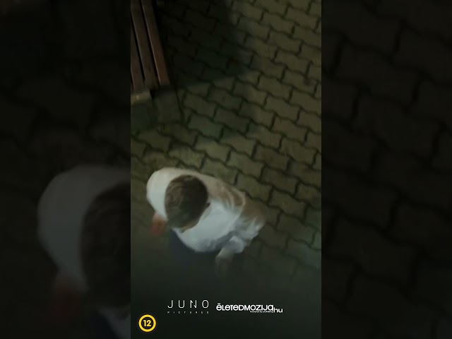 Videó borítókép